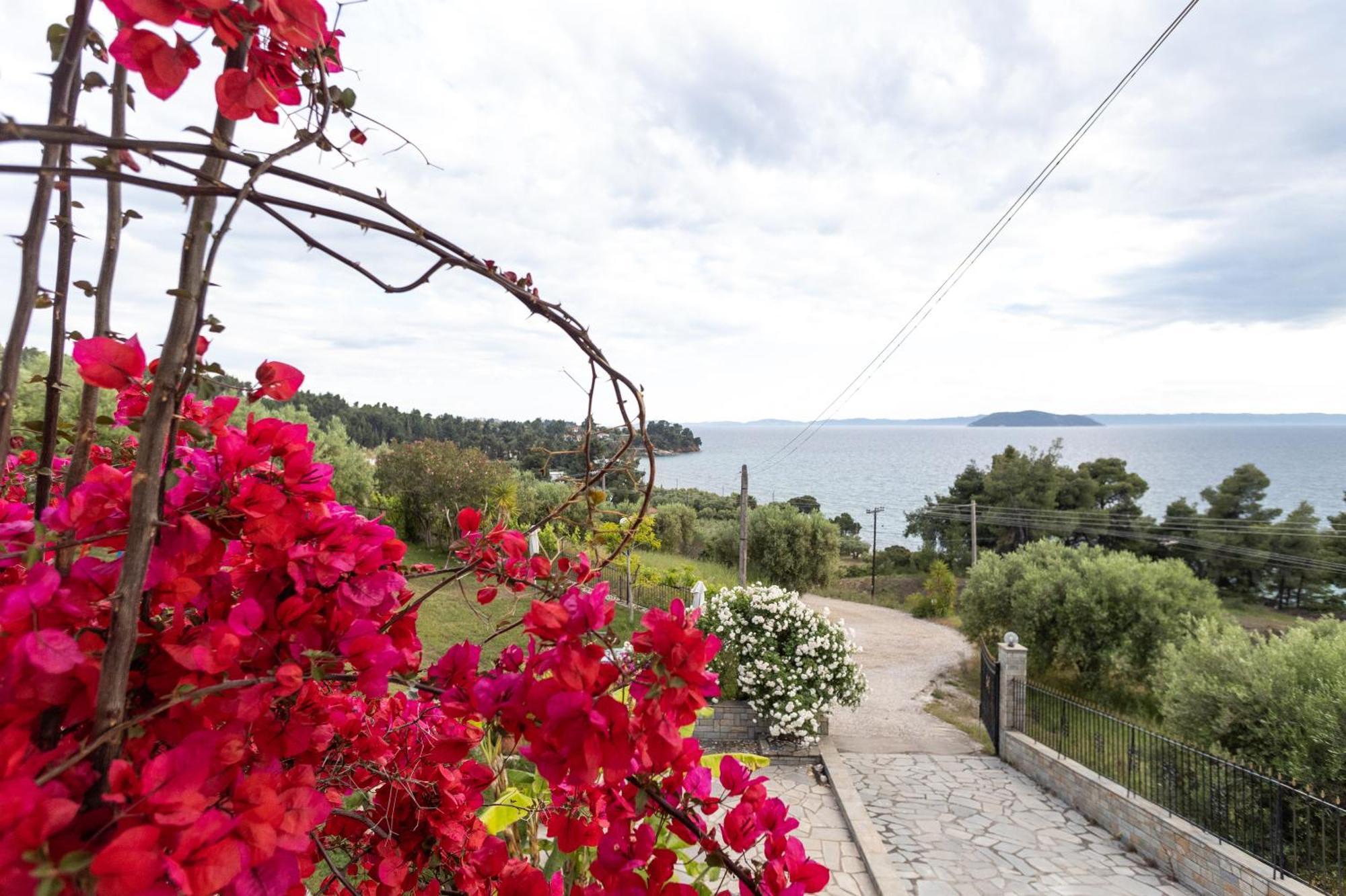 House Panorama Sea View Daire Neos Marmaras Dış mekan fotoğraf