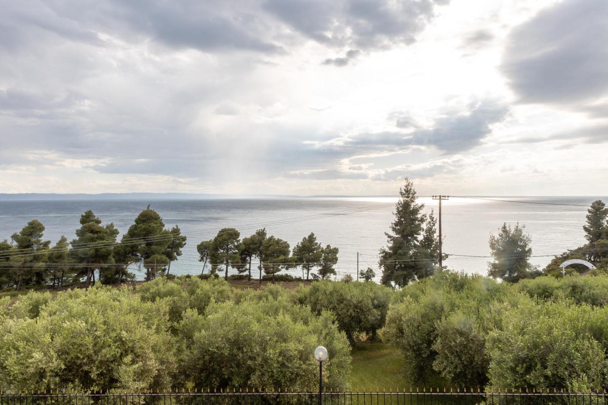 House Panorama Sea View Daire Neos Marmaras Dış mekan fotoğraf